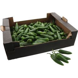 PIMENT JALAPENO VERT 2KG